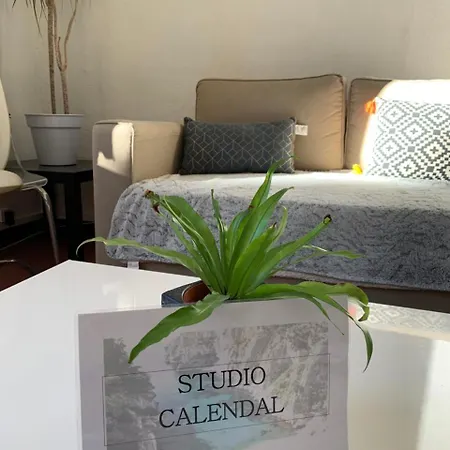 Studio Calendal *